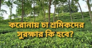 Koronay ca sromikder surokkar ki hobe, করোনায় চা শ্রমিকদের সুরক্ষার কি হবে, Ganosamhati Andolon, গণসংহতি আন্দোলন, People's Solidarity Movement, Zonayed Saki, জোনায়েদ সাকি, Abul Hasan Rubel, আবুল হাসান রুবেল, Bangladeshi political movement, International solidarity with Bangladesh, প্রবাসী বাংলাদেশিদের ভোটাধিকার, বাংলাদেশে রাজনৈতিক সংস্কার, শ্রমিক অধিকার, Reforming Bangladesh politics, Transparency in Bangladesh politics, Social reform in Bangladesh, গণঅভ্যুত্থান, সংবিধান, সংস্কার, গণতন্ত্র, Democracy, Reform, Constitution, mathal, মাথাল, পরিবহন: শহরটাকে মানুষের শহর বানাবার জন্য নামুন, paribahan shahartake manuser shahor banabar jany namun